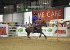 STRACCAMORE LUCA_SILVER